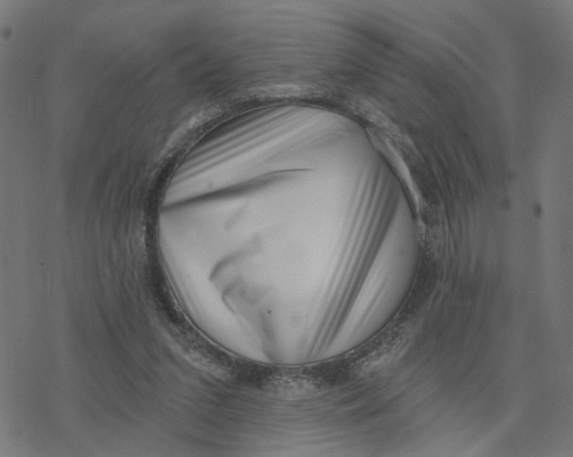 X0000077310207200611101441