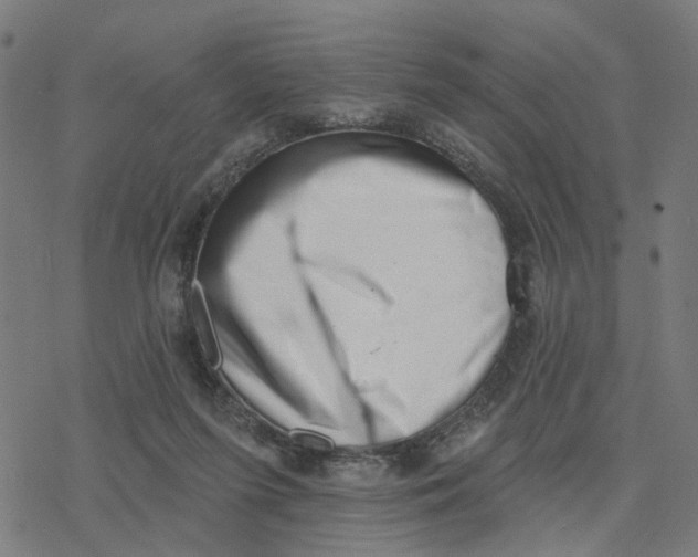 X0000077310215200611101441