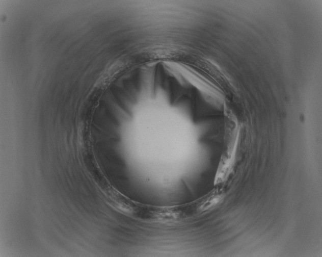 X0000077310217200611101441