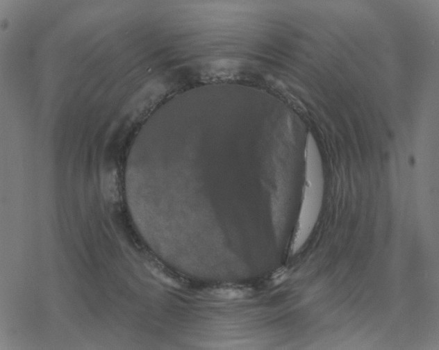 X0000077310224200611101441
