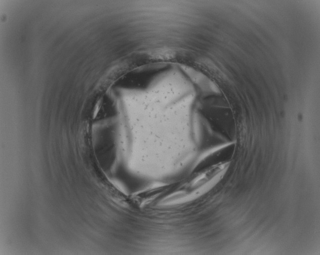 X0000077310229200611101441