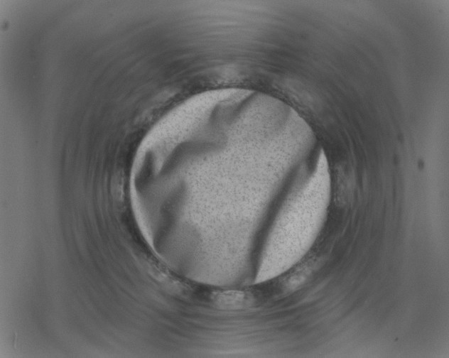 X0000077310230200611101441