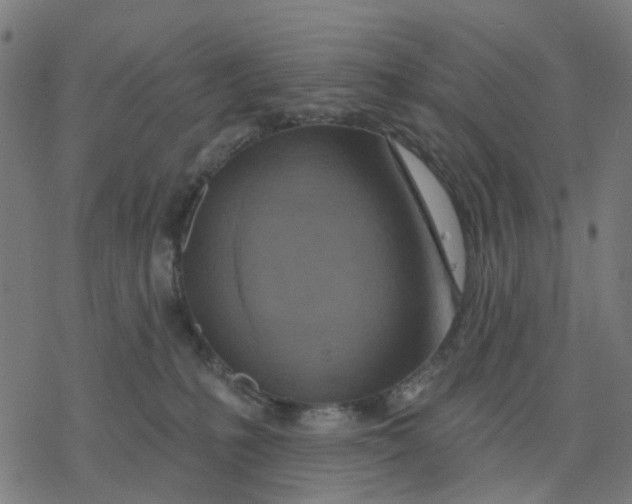 X0000077310231200611101441