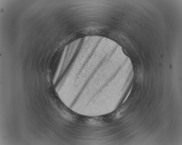 X0000077310232200611101441