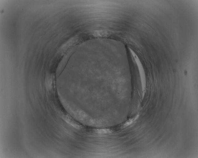 X0000077310233200611101441