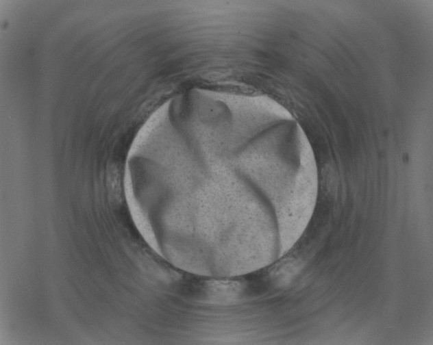 X0000077310234200611101441