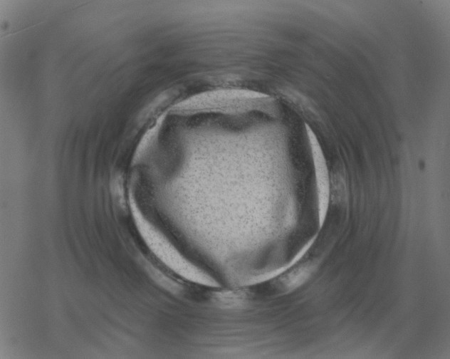 X0000077310238200611101441