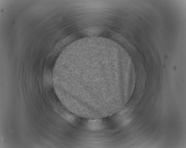 X0000077310240200611101441