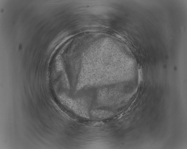 X0000077310243200611101440