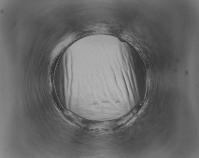X0000077310245200611101440