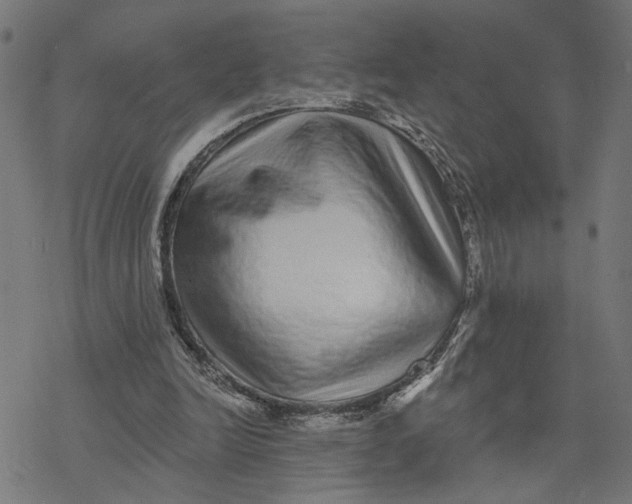 X0000077310246200611101440