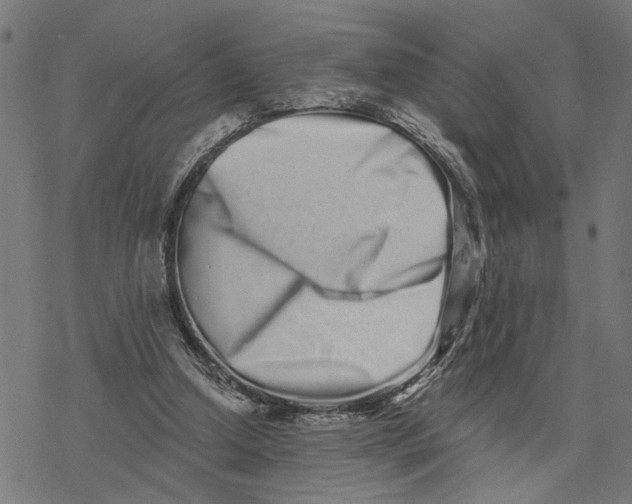 X0000077310250200611101440