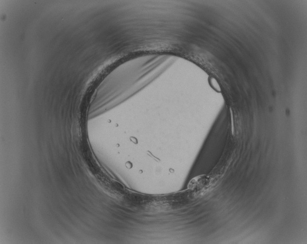 X0000077310252200611101440