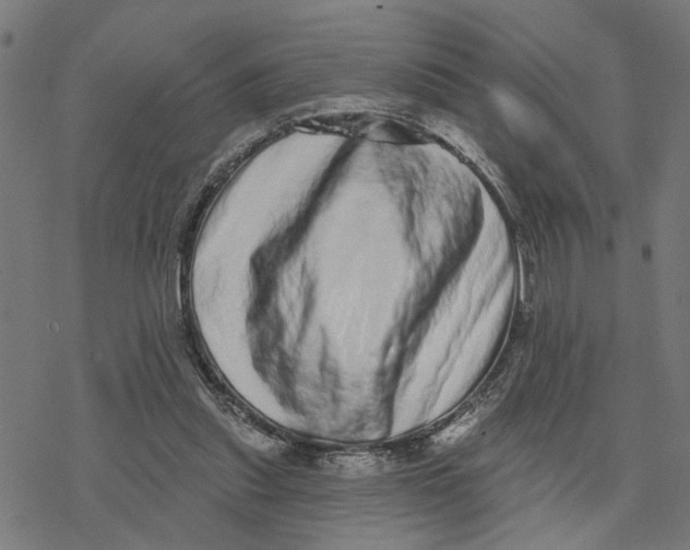 X0000077310253200611101440