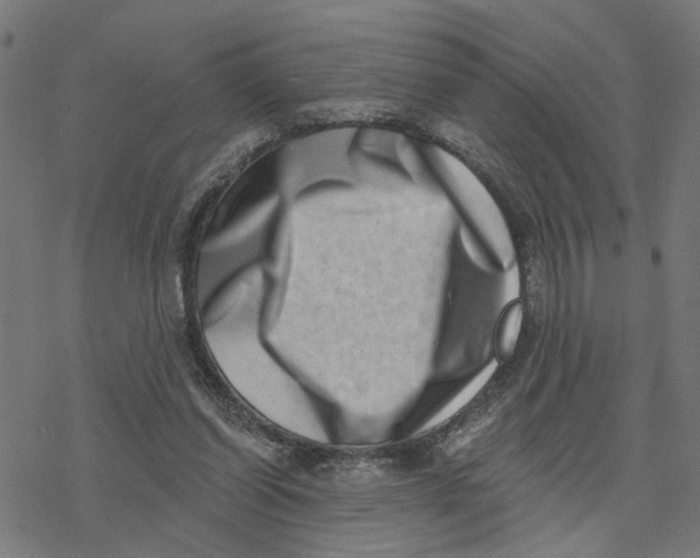 X0000077310254200611101440