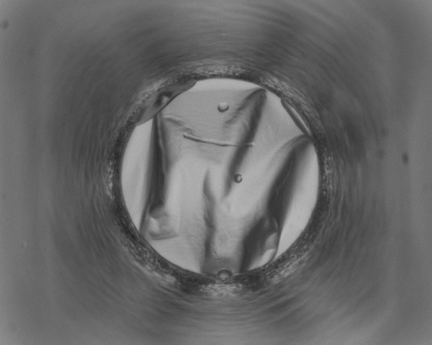 X0000077310255200611101440