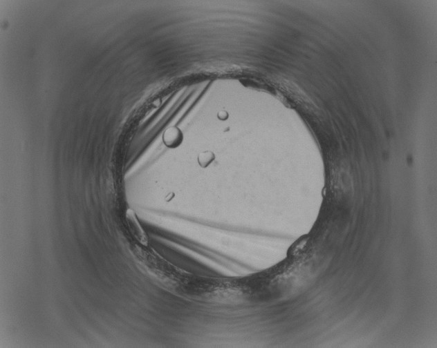 X0000077310256200611101440
