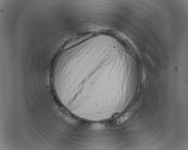 X0000077310257200611101440