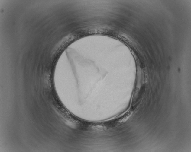 X0000077310258200611101440