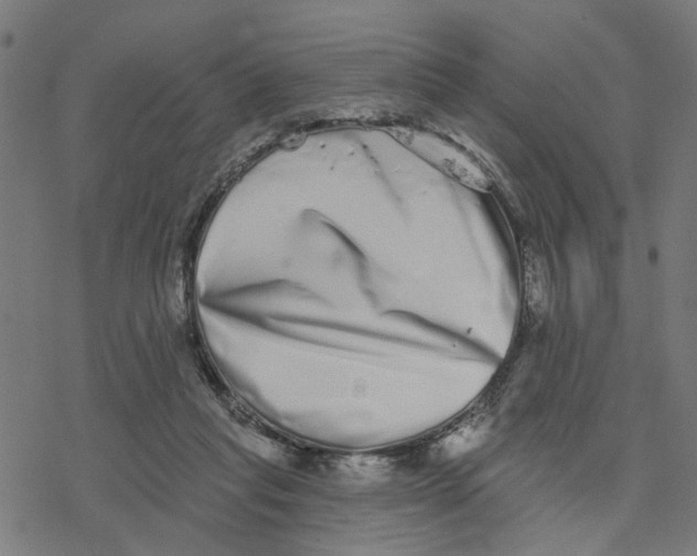 X0000077310261200611101440