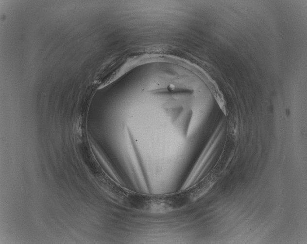 X0000077310264200611101440