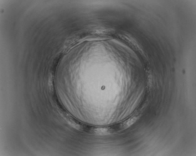 X0000077310265200611101440