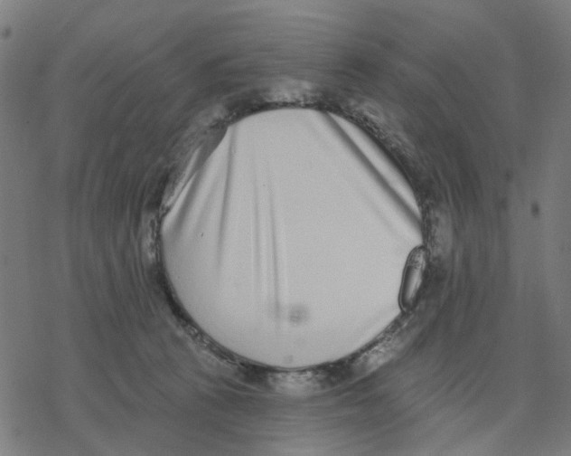 X0000077310273200611101440