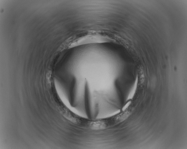 X0000077310275200611101440