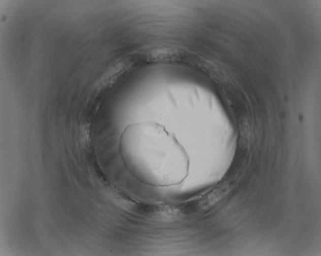 X0000077310278200611101441