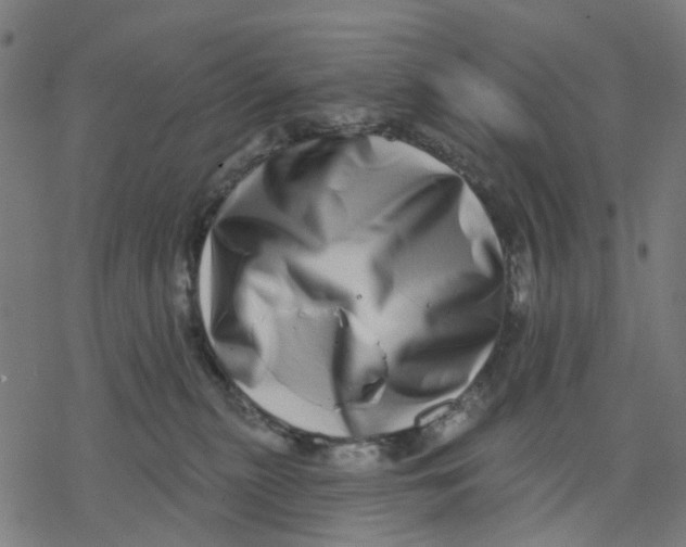 X0000077310279200611101441