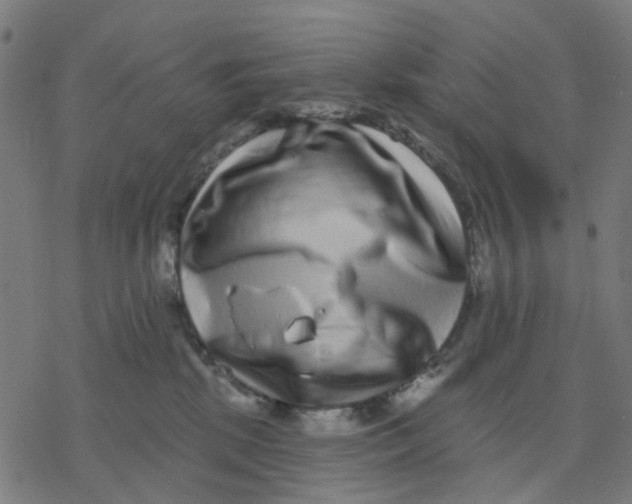 X0000077310281200611101441