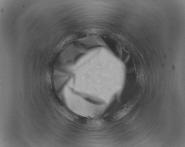X0000077310282200611101441