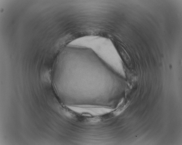 X0000077310286200611101441