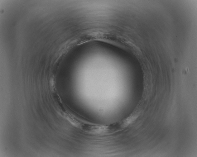 X0000077310288200611101441