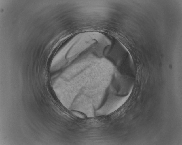 X0000077310290200611101440