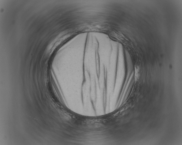 X0000077310291200611101440