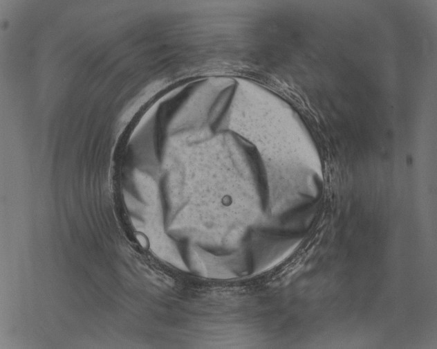 X0000077310292200611101440