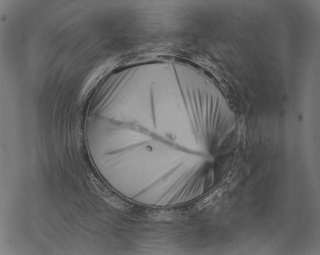 X0000077310293200611101440