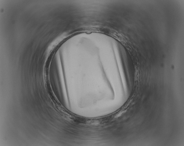 X0000077310294200611101440