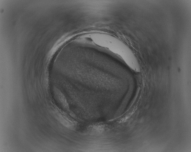 X0000077310295200611101440