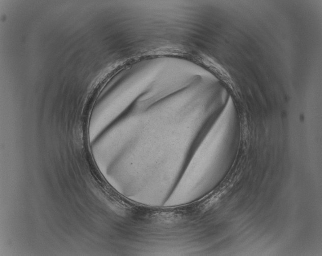 X0000077310298200611101440