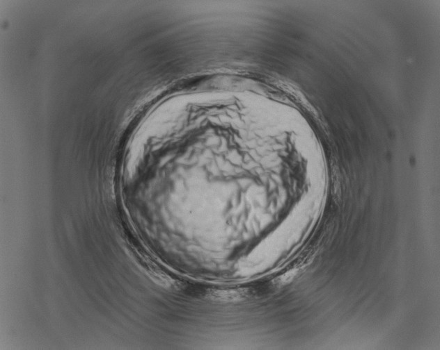 X0000077310299200611101440