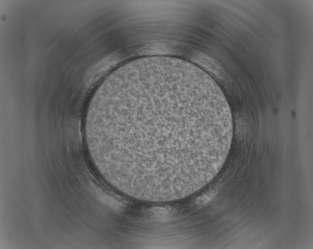 X0000077310302200611101440
