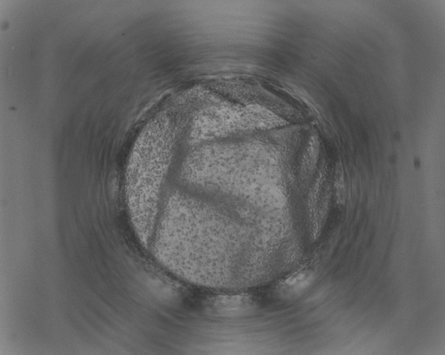 X0000077310314200611101439