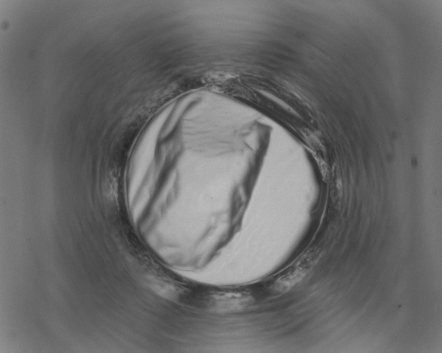 X0000077310315200611101439