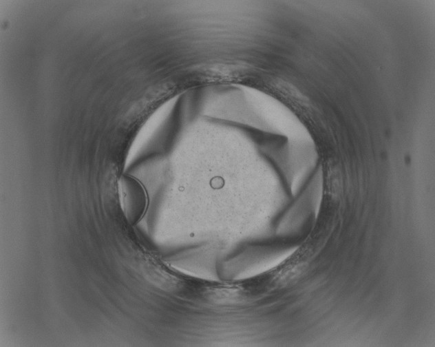 X0000077310318200611101439