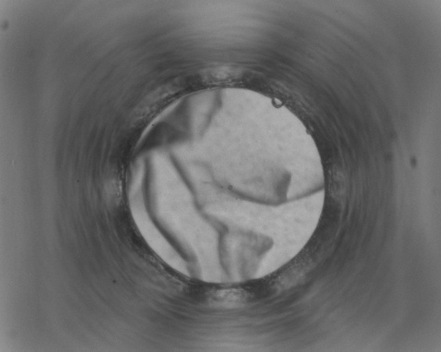 X0000077310324200611101439