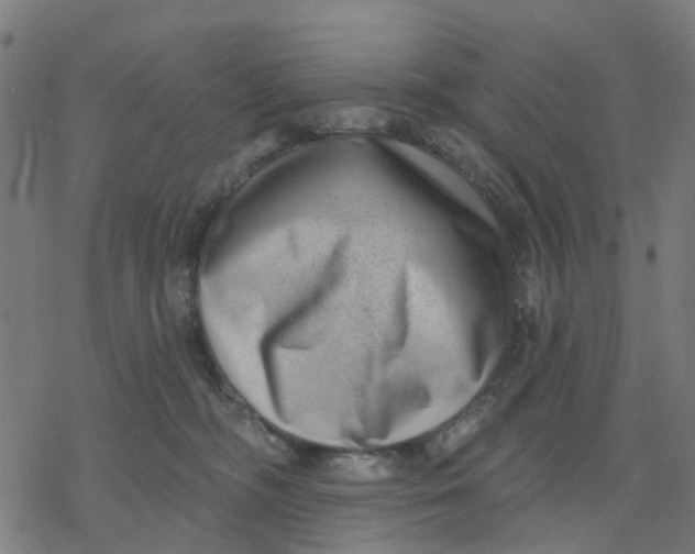 X0000077310326200611101439