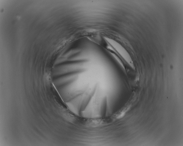 X0000077310329200611101439