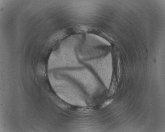 X0000077310331200611101439